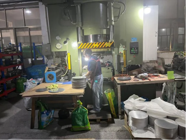 Raw material pretreatment