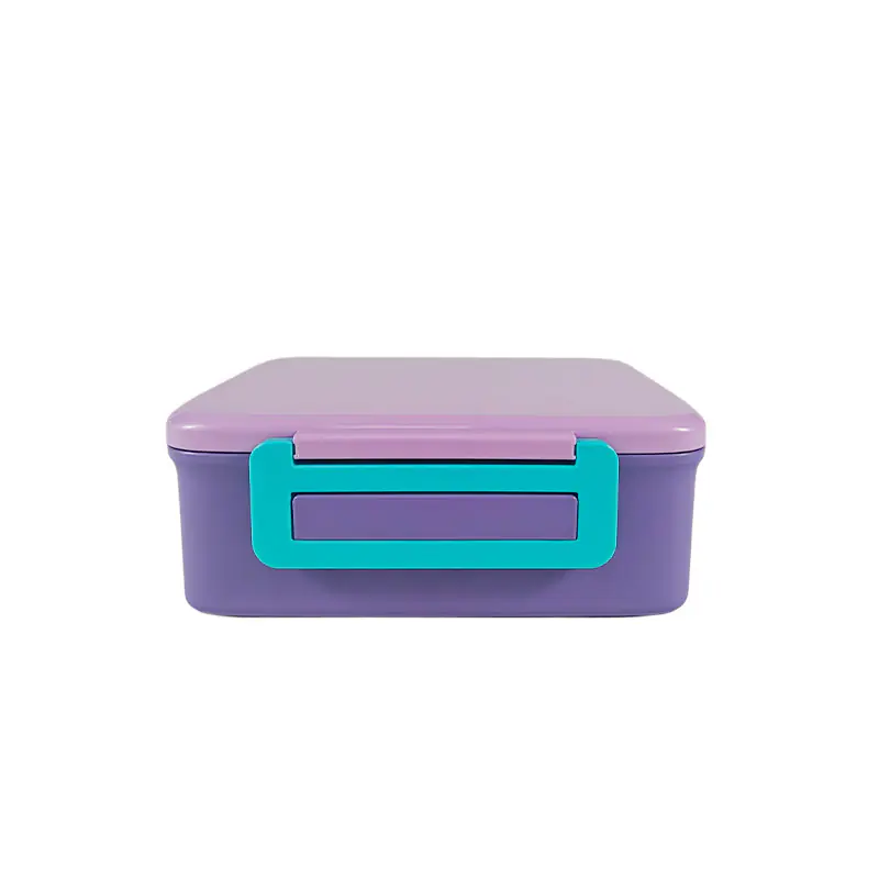 Multi-Compartment Lunch Box Supplier - Customizable Options