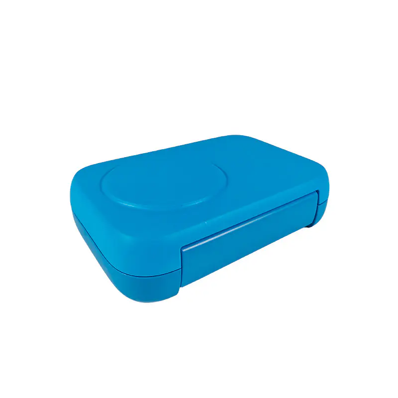 Dual-Compartment Lunch Box Supplier - Wholesale Customizable Options-2