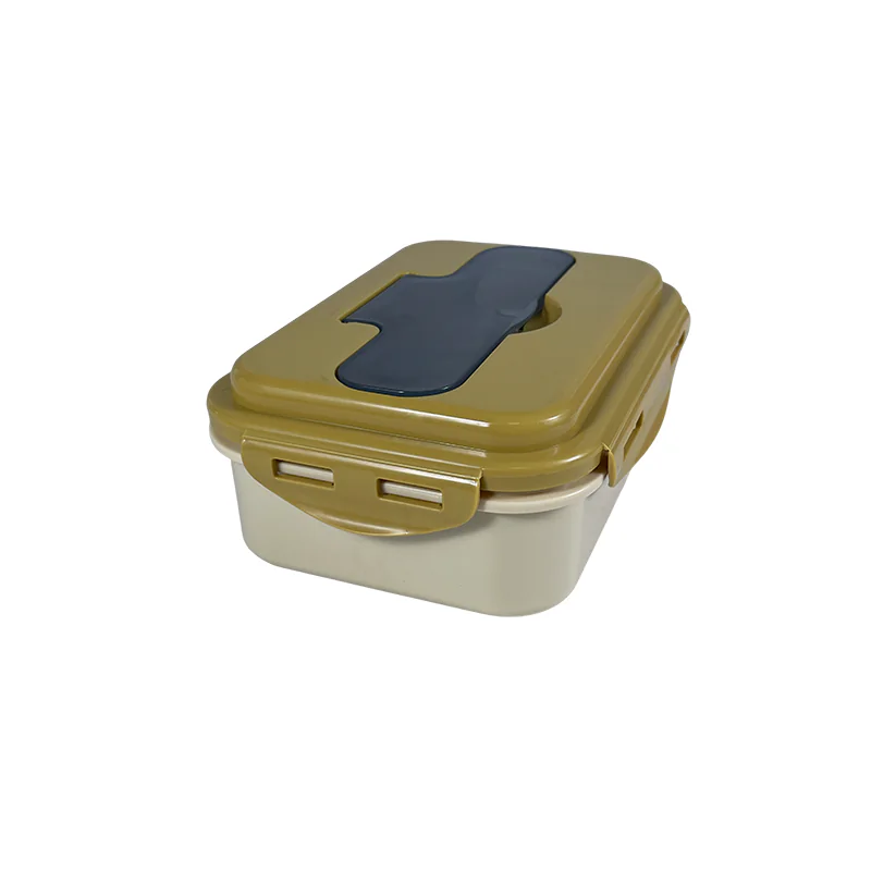 Portable Partitioned Bento Lunch Box Wholesale