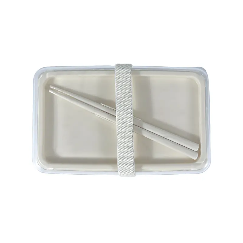 Collapsible Lunch Box Supplier - Eco-Friendly & Bulk Orders