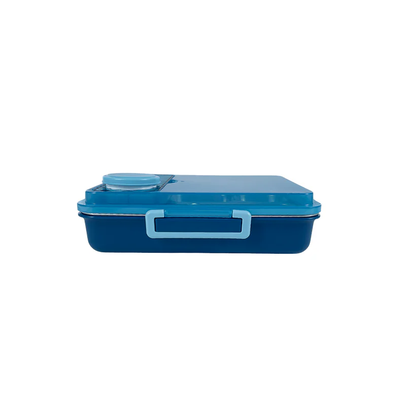 Multi-Chamber Lunch Box Supplier - Wholesale Customizable Containers-2