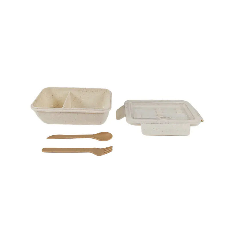 Plastic Lunch Box Manufacturer.jpg