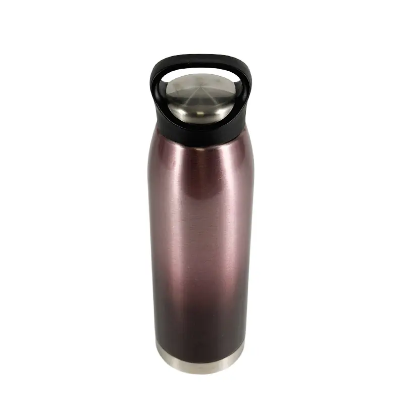 AU-BT0289 (5)-2025121103542235 Modern Metallic Water Bottle Wholesale-3