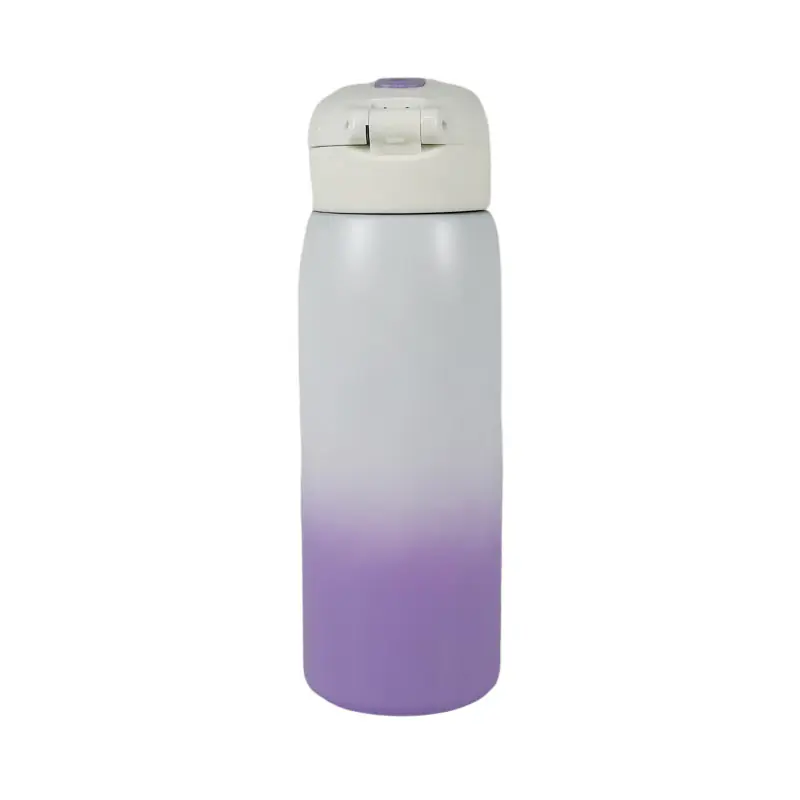 Gradient Purple Stainless Steel Water Bottle Wholesale-4